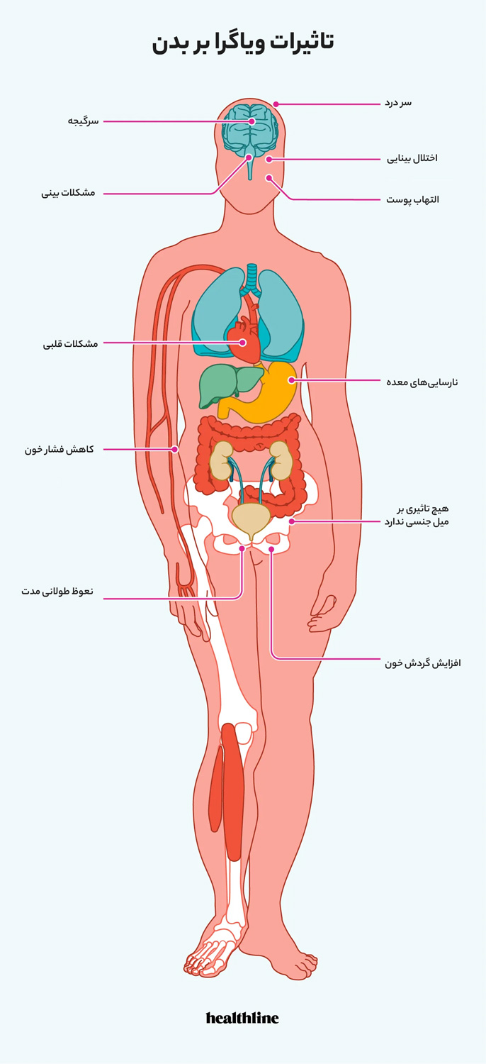 تاثیرات ویاگرا بر بدن | دکتر مهری مهراد - متخصص اورولوژی در تهران