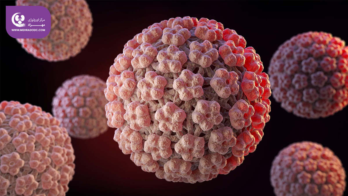 عفونت HPV (پاپیلومای انسانی)