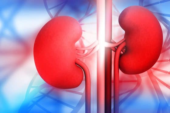 بیماری مزمن کلیه (CKD)