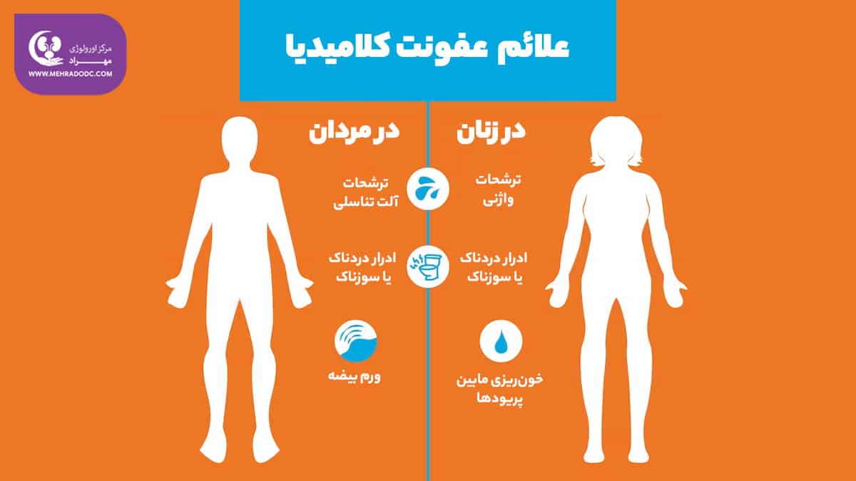 علائم کلامیدیا در مردان و زنان | دکتر مهری مهراد - اورولوژیست