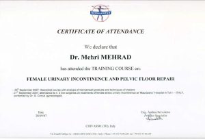 Female Urinary Incontinence and Pelvic Floor Repair